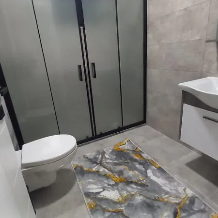 别墅 Star House 费特希耶