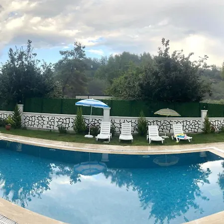 فيلة Star House *