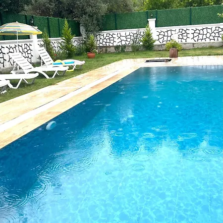 فيلة Star House