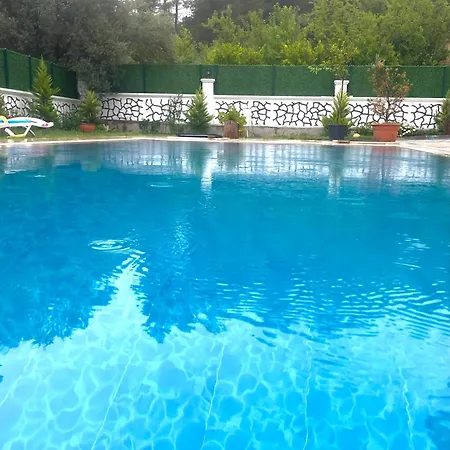 فيلة Star House